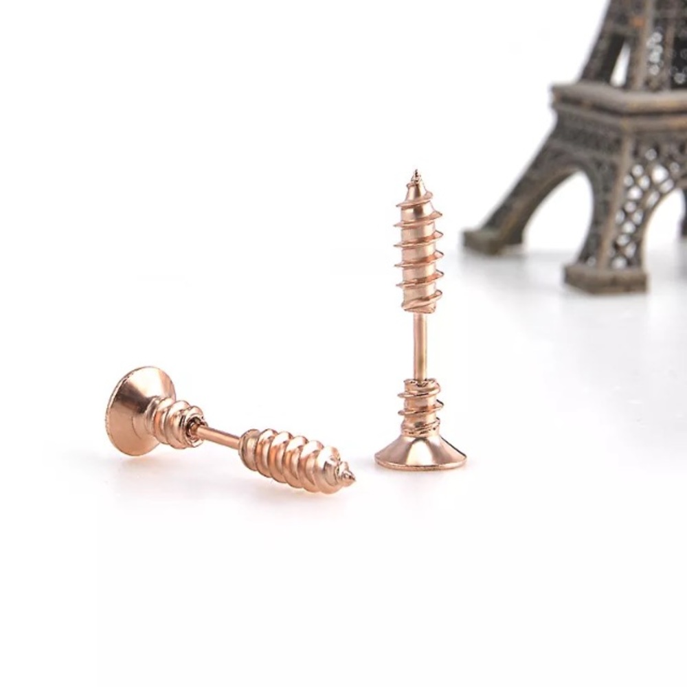 Stainless steel screw earrings